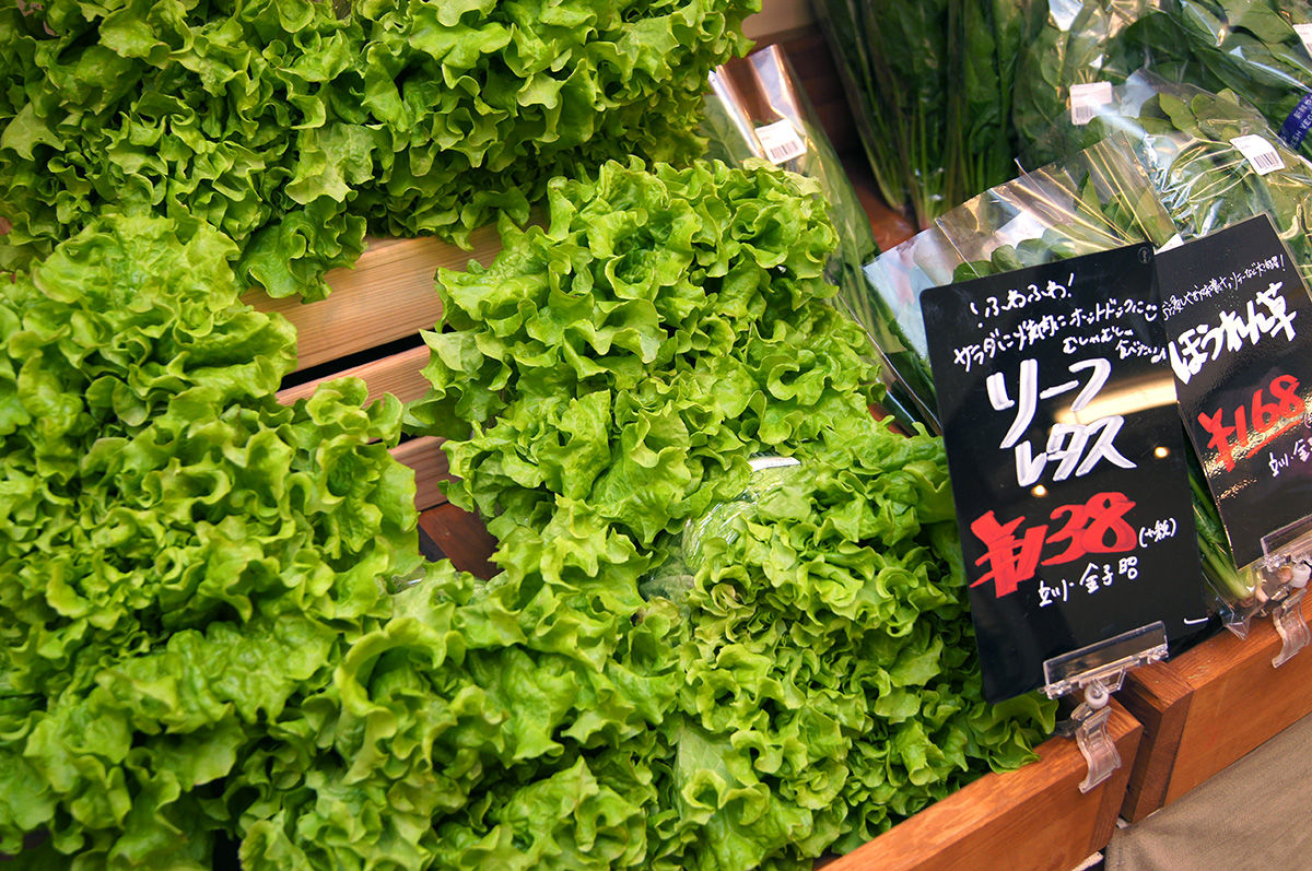【グルメ】地元のとれたて旬野菜が手に入る！立川駅南口の「のーかる」