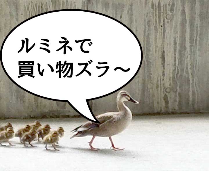 【買い物カモ？】カルガモの親子が立川駅を闊歩してた！