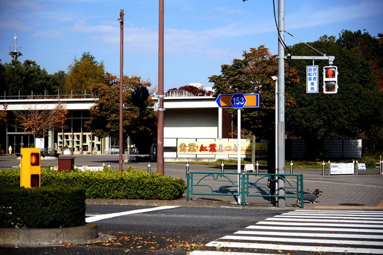 立川 自転車 レンタル