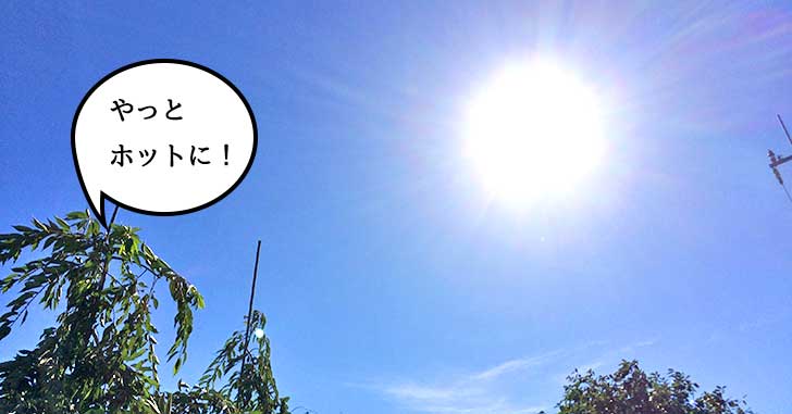 令和の初冷夏は今日でおわり？立川にもようやく夏が来る！