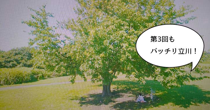 金曜ドラマ「凪のお暇」第3回も立川バッチリ映ってる！多摩川緑地野球場の木はココ。明日(8/4)は立川でロケの予定