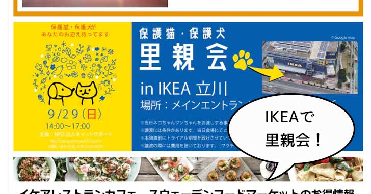 IKEA立川で保護猫・保護犬の里親会が開催されるみたい。9月29日(日)