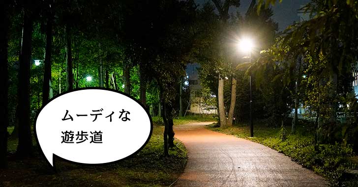 夜はむっちゃムーディな遊歩道！もともと保護樹林地だった「江の島公園」に行ってみた【立川フォト】