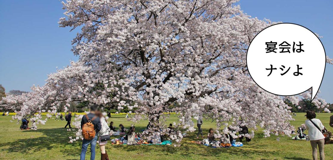 見るだけヨョョ 泣 昭和記念公園の花見は飲食をともなう宴会ngに いいね 立川