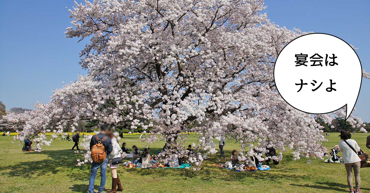見るだけヨョョ（泣）昭和記念公園の花見は飲食をともなう宴会NGに！