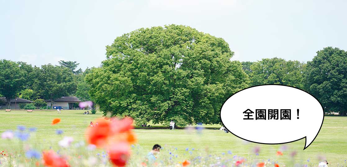 やっぱりサイコー！6月1日から全園開園になった昭和記念公園に行ってみた
