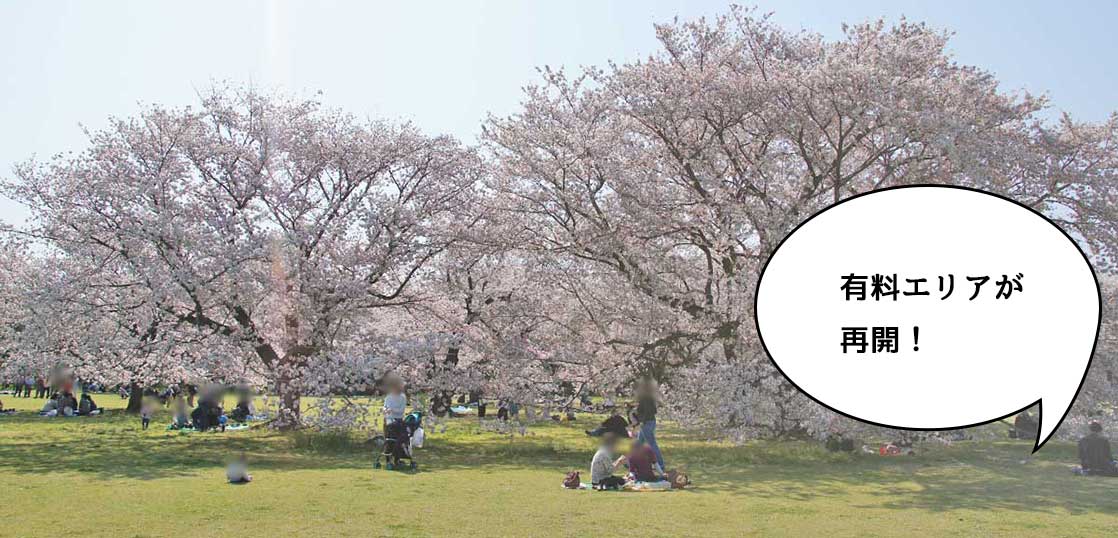 ノンアルで楽しみましょ！昭和記念公園の有料エリアが4月5日から開園になるみたい