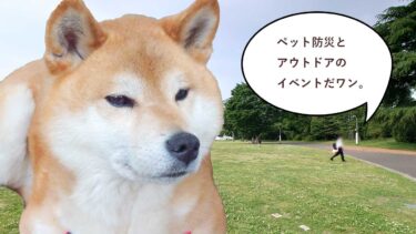 飛行犬撮影もできる！？昭和記念公園で「SippoFesta2022 〜ペット防災＆アウトドア〜」ってイベントが開催されるみたい。6/18・6/19の2日間