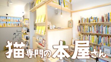 【開店】猫の本1,300冊！富士見町2丁目に猫専門の本屋『necoya books（ネコヤブックス）』が8月8日にオープンしたので行ってみた