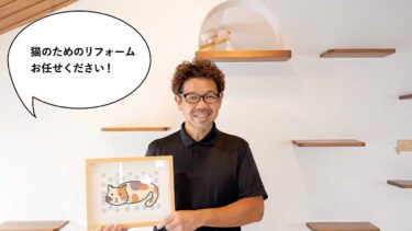 猫と猫好きのためのアイデア満載！武蔵村山・伊奈平の工務店『櫻建設』にある猫リフォームのモデルルームを見てきた