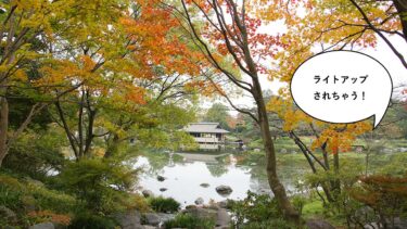 日本庭園は別料金でウェブチケットがおすすめ。昭和記念公園で紅葉・黄葉のライトアップイベント「秋の夜散歩 2022」が開催中。11月3日から27日まで