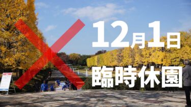 【臨時休園】停電ダァ〜！まだまだ紅葉まっただ中の昭和記念公園が12月1日は臨時休園してる